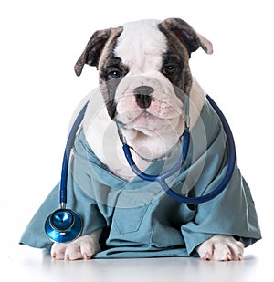 Veterinary care