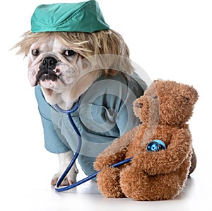 Veterinary care