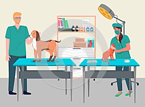 Veterinary care flat illustration. Veterinarian doctors treat cat and dog in the medical office