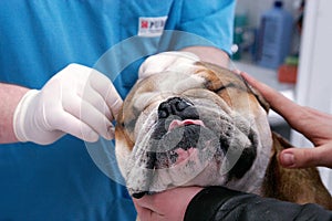 Veterinary clinic