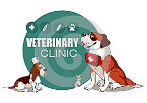 Veterinary Clinic