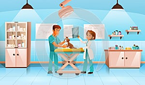 Veterinary Clinic Cartoon Composition