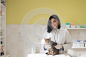 Veterinary clinic. Female doctor portrait at the animal hospital holding cute sick cat