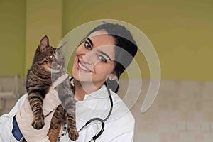 Veterinary clinic. Female doctor portrait at the animal hospital holding cute sick cat