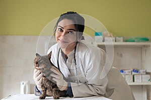 Veterinary clinic. Female doctor portrait at the animal hospital holding cute sick cat