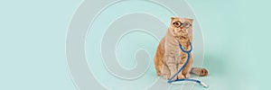 Veterinary clinic, medicines for pets banner. Doctor cat. Funny cat wearing glasses and stethoscope sitting on blue background and