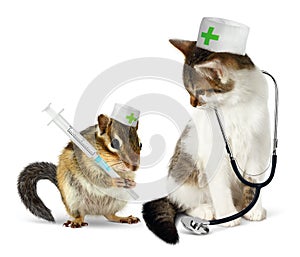 Veterinary concept, funny chipmunk and cat with phonendoscope a photo