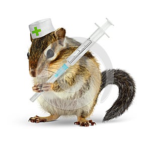 Veterinary concept, funny chipmunk with syringe and doctor unifo