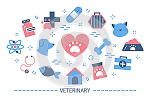 Veterinary concept. Idea of domestic animal care