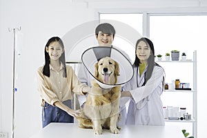 Veterinary concept. Veterinarian examining dog`s heartbeat. Dog owners take pets, check the body with a veterinarian. Sick dog