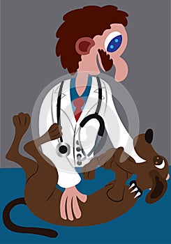 Veterinary Doctor with dog