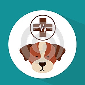 Veterinary dog care clinic icon