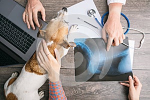 Veterinary examination consultation with an X-ray. Dog and owners and doctors hands on the table with computer.