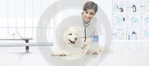 veterinary examination dog, smiling veterinarian with stethoscope on table in vet clinic