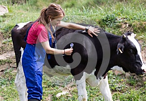 Veterinary on a farm