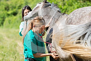 Veterinario sul 