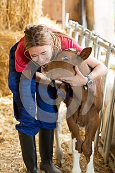 Veterinario sobre el 