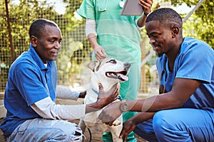 Veterinary, group and doctor with dog while working in healthcare, wellness and animal health. Vet, volunteer and pet