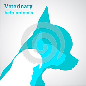 Veterinary help
