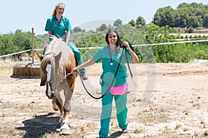 Veterinary horses on the farm