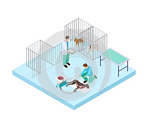 Veterinary hospital concept. Vets treat dog. Isometric pets in clinic. Veterinary hospital interior vector illustration