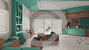 Veterinary hospital waiting room in turquoise and wooden tones. Sitting room with benches and pillows and reception desk.