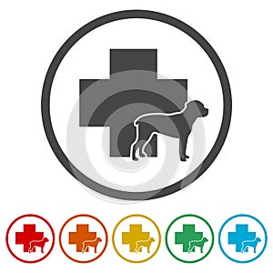 Veterinary icon with medicine symbol, Dog icon, 6 Colors Included