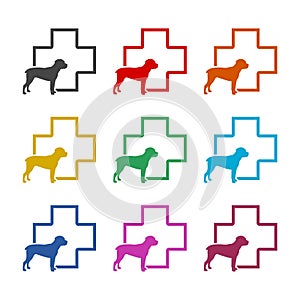 Veterinary icon with medicine symbol, Dog icon, color icons set