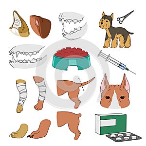 Veterinary illustrations