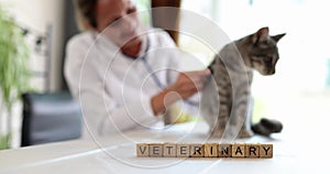 Veterinary inscription on wooden cubes, shallow focus