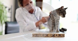 Veterinary inscription on wooden cubes, shallow focus