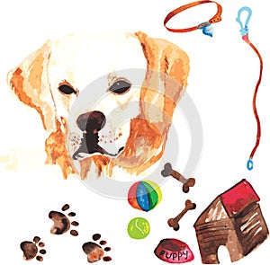 Veterinary kit comprising Labrador Retriever and accessories