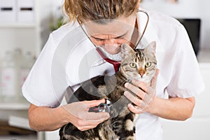 Veterinary by listening to a cat