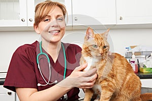 Veterinary Nurse With Cat In Surgery