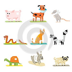 Veterinary pet health care animal medicine icons