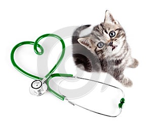 Veterinary for pets concept photo