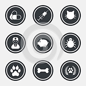 Veterinary, pets icons. Paw, syringe and bone.