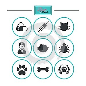 Veterinary, pets icons. Paw, syringe and bone.