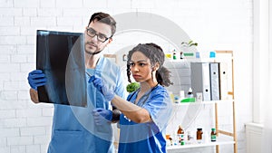 Veterinary radiology. Vet doctor with nurse examining animal xray at hospital, copy space