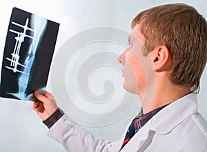 Veterinary Surgeon Examining X Ray