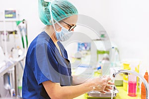 Veterinary surgeon washing hands before operating