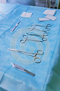 Veterinary surgical instruments lie on the operating table
