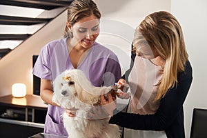 Veterinary Teaching How To Use Nail Clipper With Dog