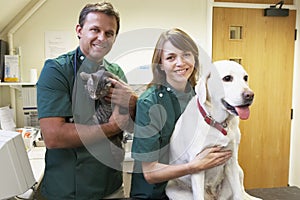 Vetinary Staff With Dog And Cat In Surgery