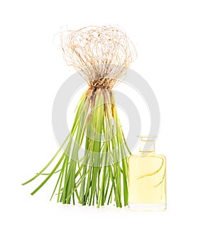 Vetiver grass or chrysopogon zizanioides and oil isolated on white background photo