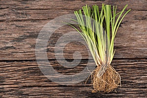 Vetiver grass or chrysopogon zizanioides on an old wooden background photo