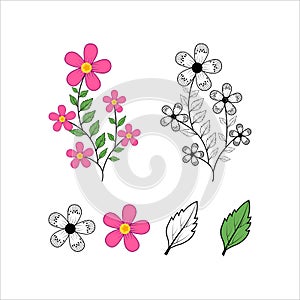 Vetor floral colorful pattern on a white background.Vector Oriental motif of flowers set. Beautiful flowers. seamless pattern,