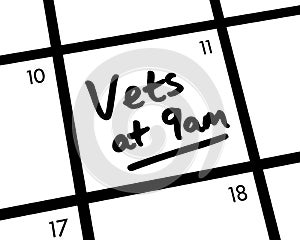 Vets at 9am