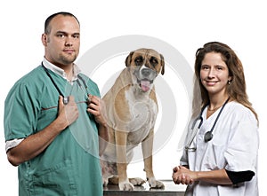 Vets standing next to a Crossbreed dog