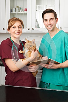 Vets In Surgery Looking After Pet Cat